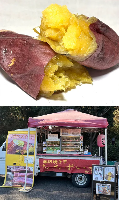 藤沢焼き芋ちちずいも